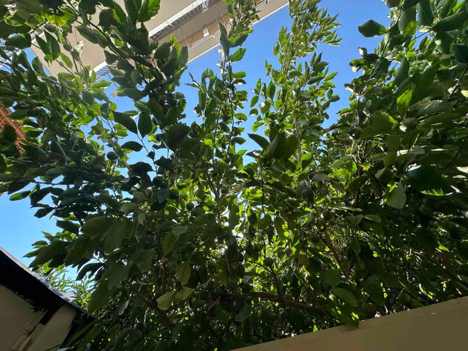 Green Spot Apartments أثينا المظهر الخارجي الصورة